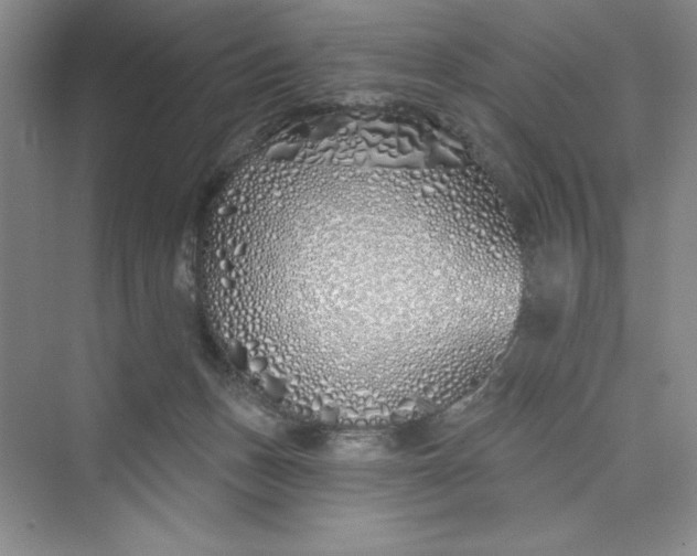 X0000075400175200609251028