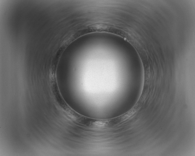 X0000075400176200609251028