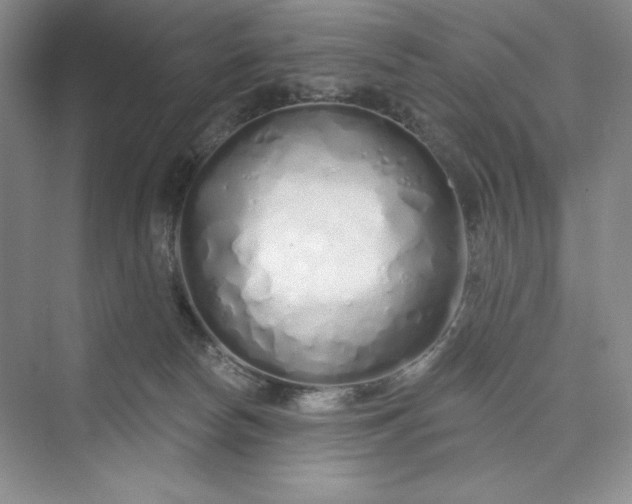 X0000075400178200609251028