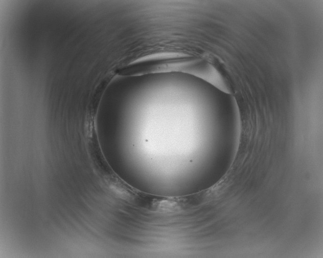 X0000075400180200609251028