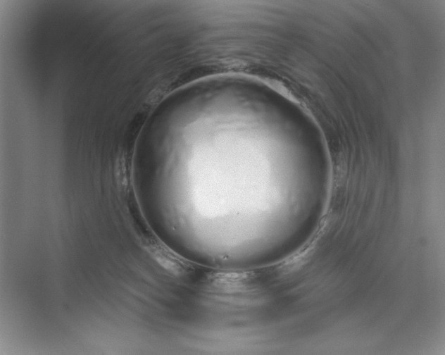 X0000075400182200609251028