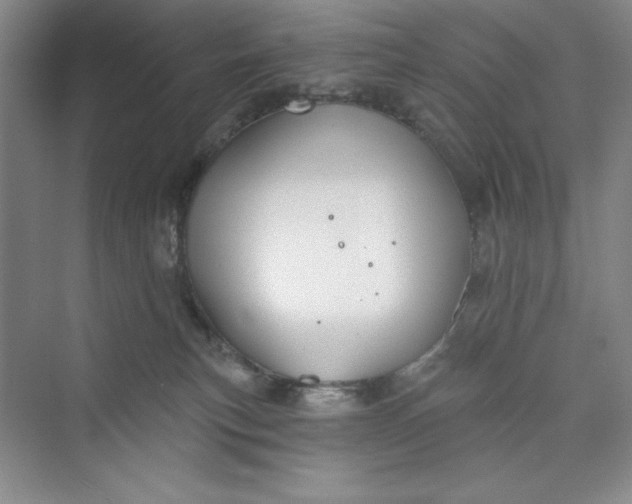 X0000075400183200609251028