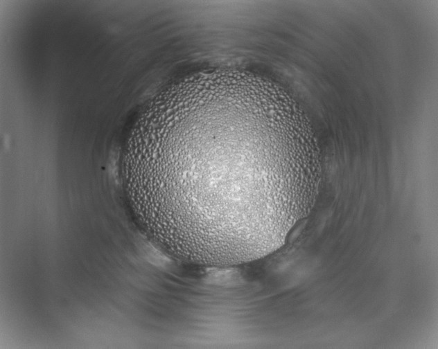 X0000075400185200609251028