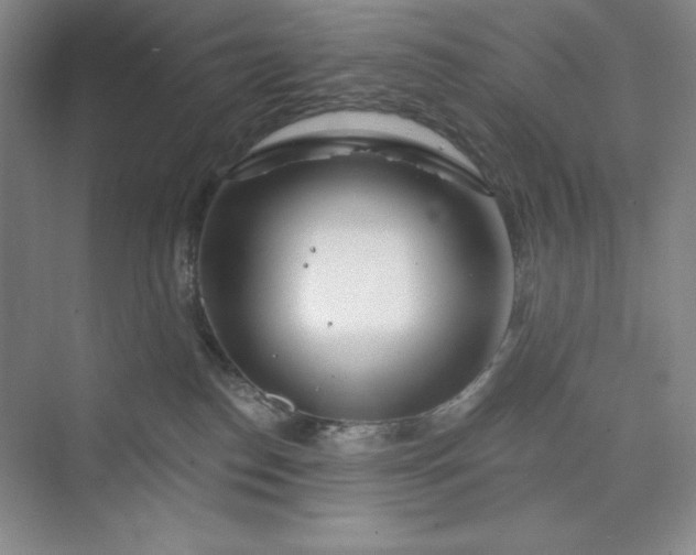 X0000075400186200609251028