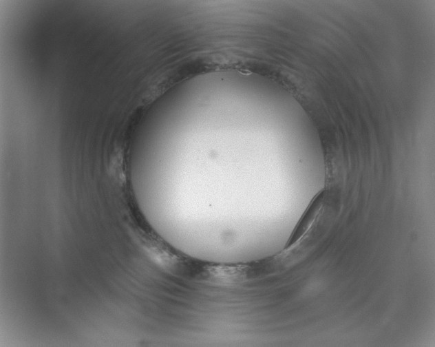 X0000075400187200609251028