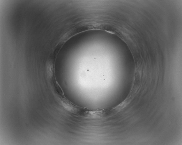 X0000075400188200609251028