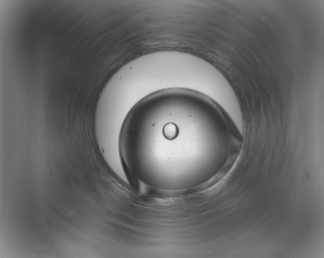 X0000075400190200609251028