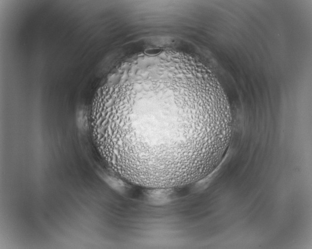 X0000075400191200609251028