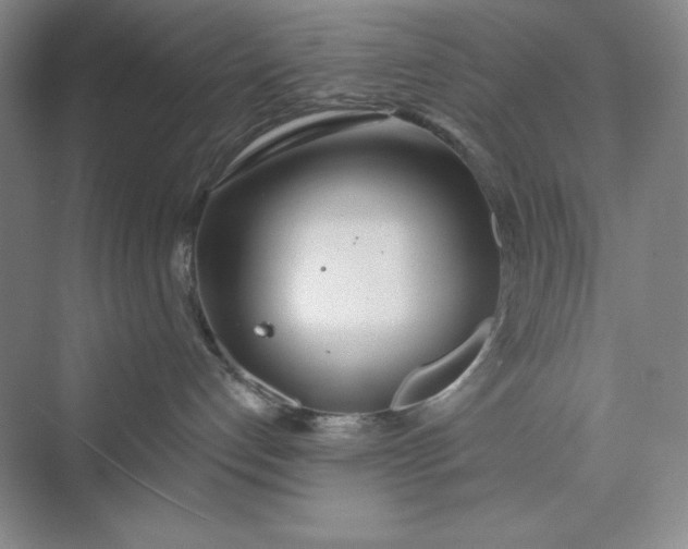 X0000075400192200609251028