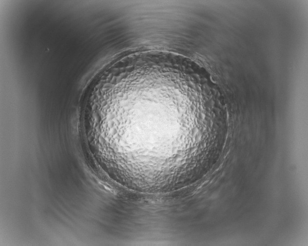 X0000075400194200609251027