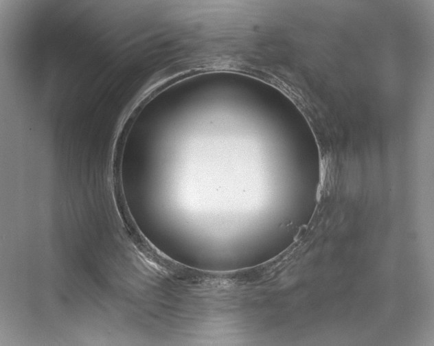 X0000075400195200609251027