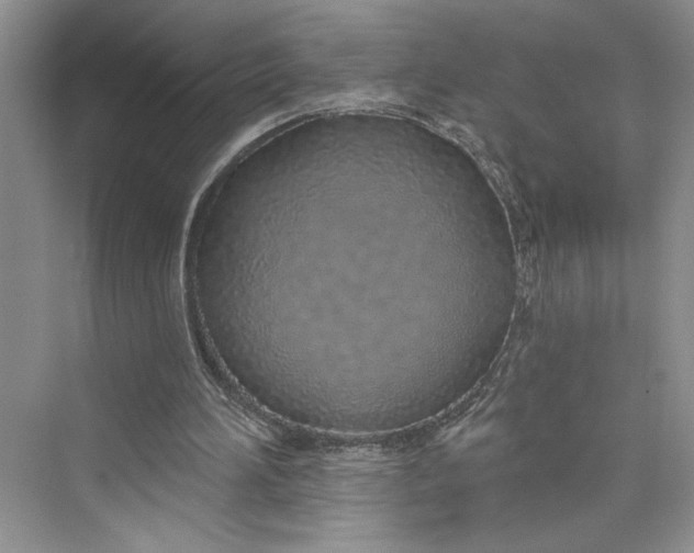 X0000075400196200609251027