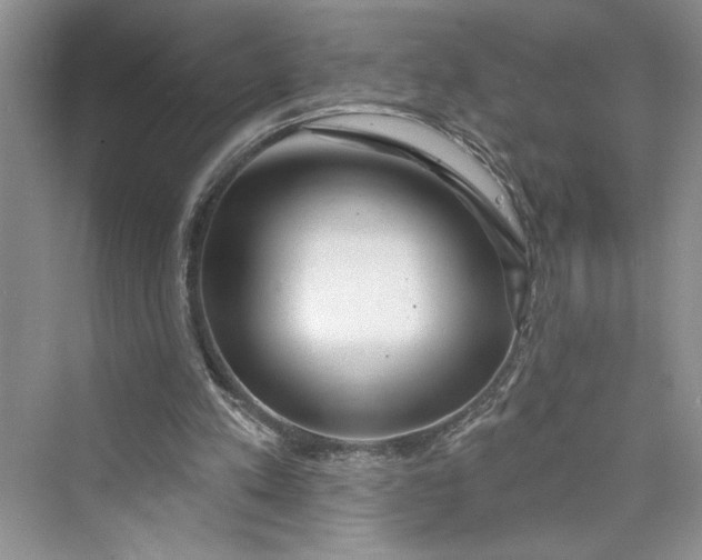 X0000075400197200609251027