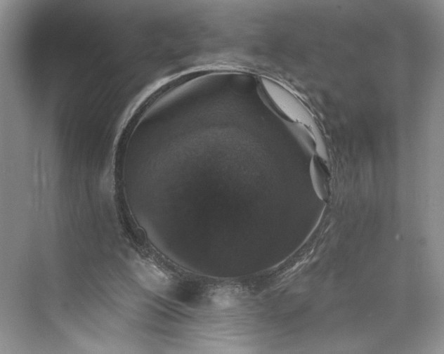 X0000075400200200609251027