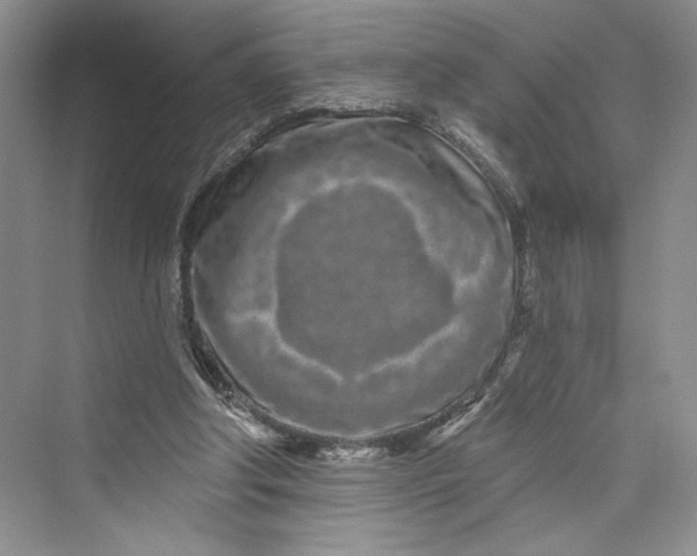 X0000075400202200609251027