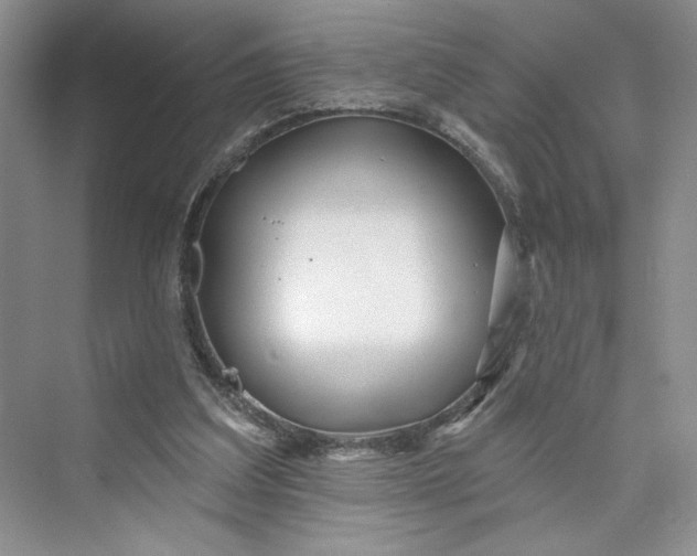 X0000075400203200609251027