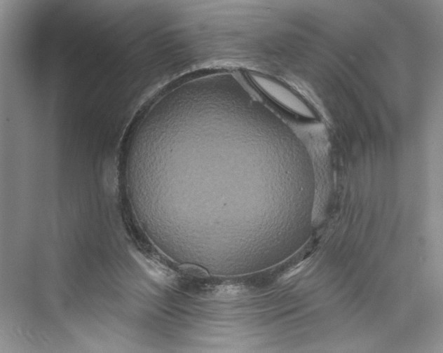 X0000075400204200609251027