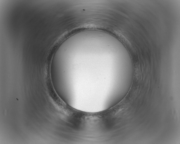 X0000075400208200609251027