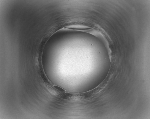 X0000075400209200609251027