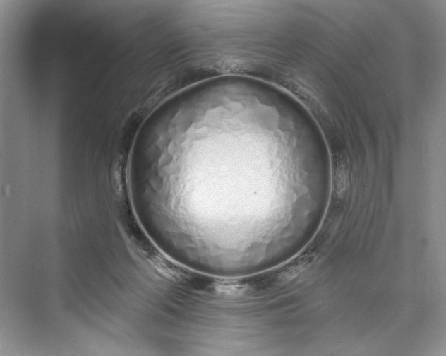 X0000075400214200609251027