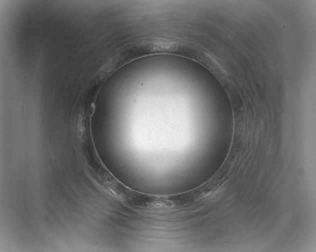 X0000075400215200609251027