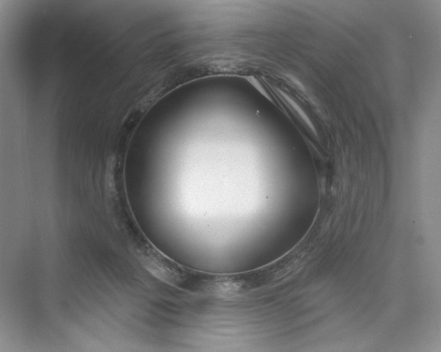 X0000075400217200609251027