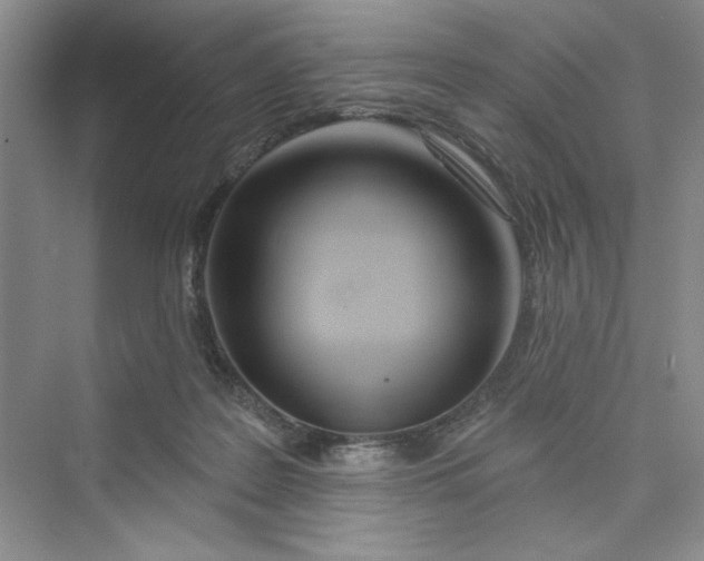 X0000075400219200609251027