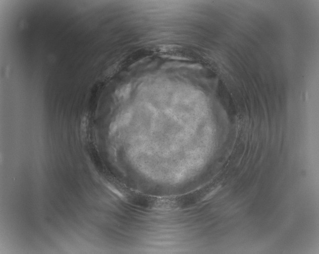 X0000075400222200609251027