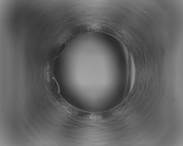 X0000075400223200609251027