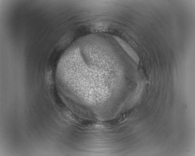 X0000075400224200609251027