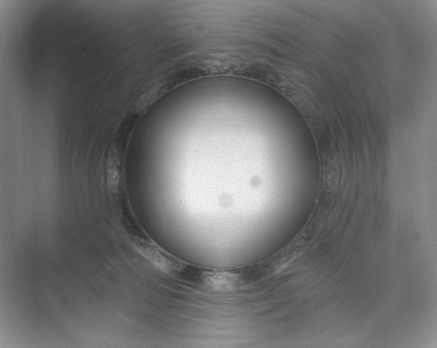 X0000075400226200609251027