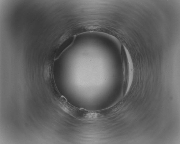 X0000075400227200609251026