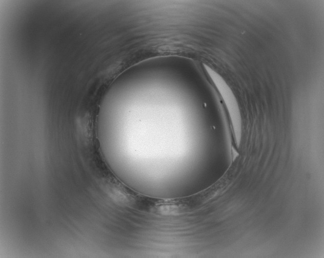 X0000075400228200609251026