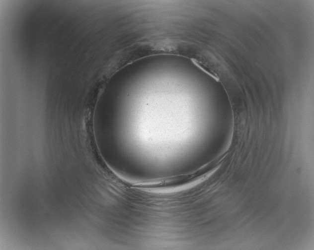 X0000075400229200609251026