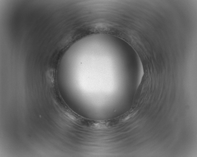 X0000075400232200609251026