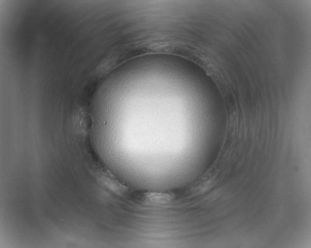 X0000075400234200609251026