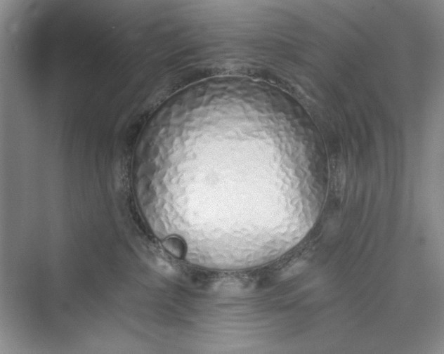 X0000075400236200609251026