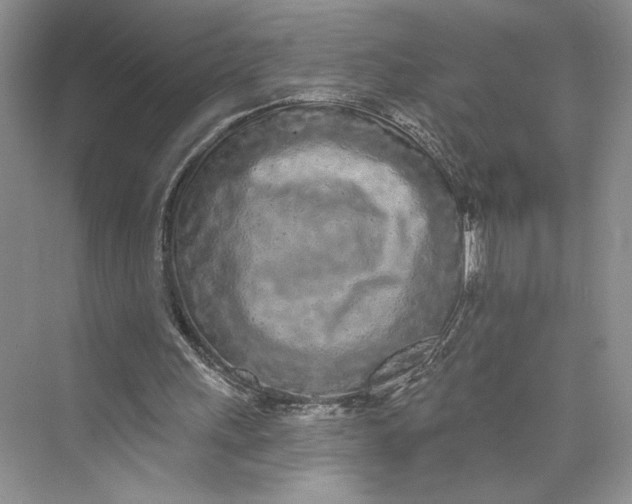 X0000075400243200609251026