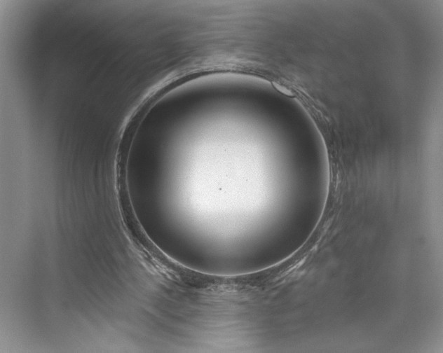 X0000075400244200609251026