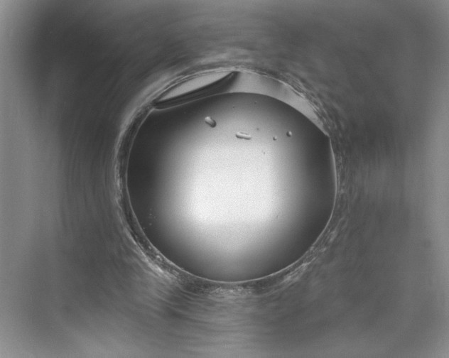 X0000075400245200609251026