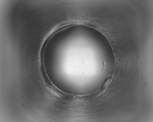 X0000075400246200609251026