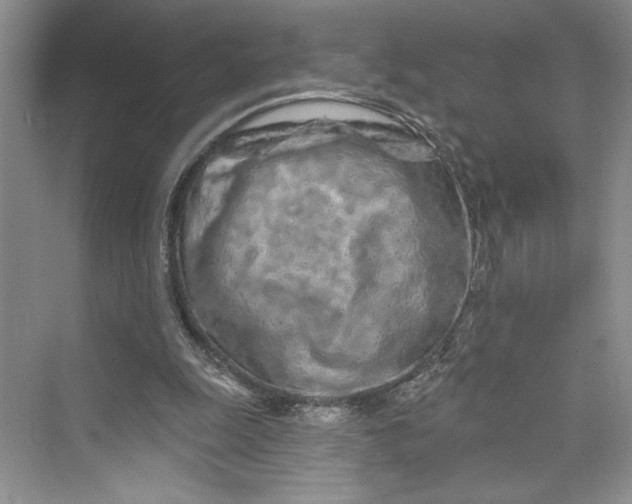 X0000075400247200609251026