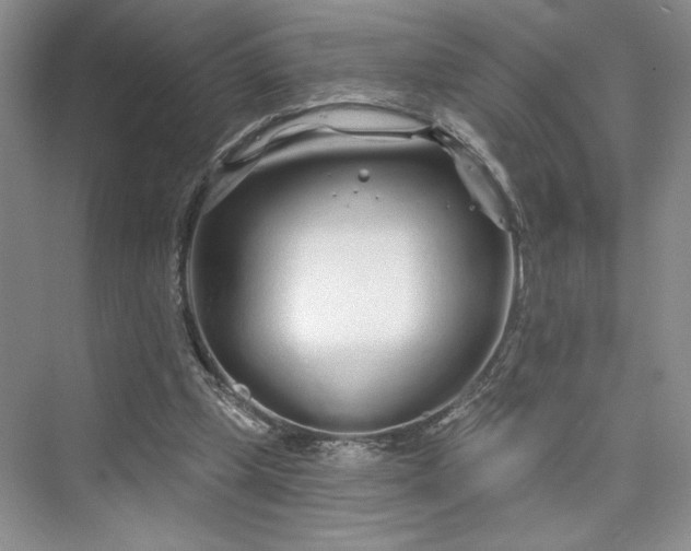 X0000075400249200609251026