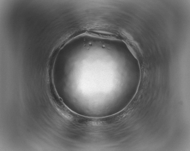 X0000075400250200609251026