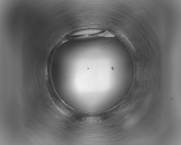 X0000075400251200609251026