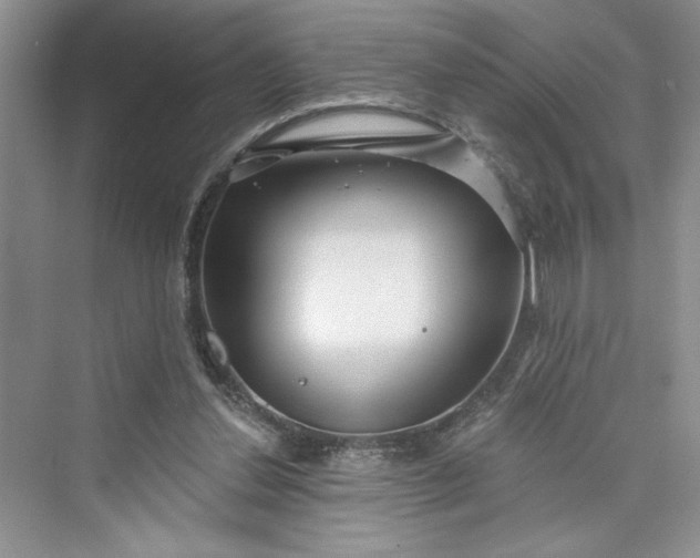 X0000075400252200609251026