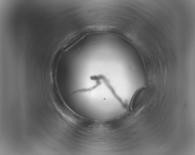 X0000075400254200609251026