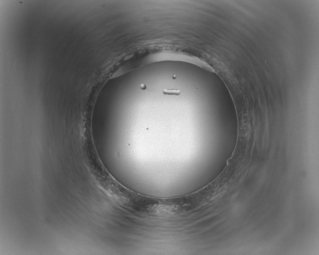 X0000075400255200609251026