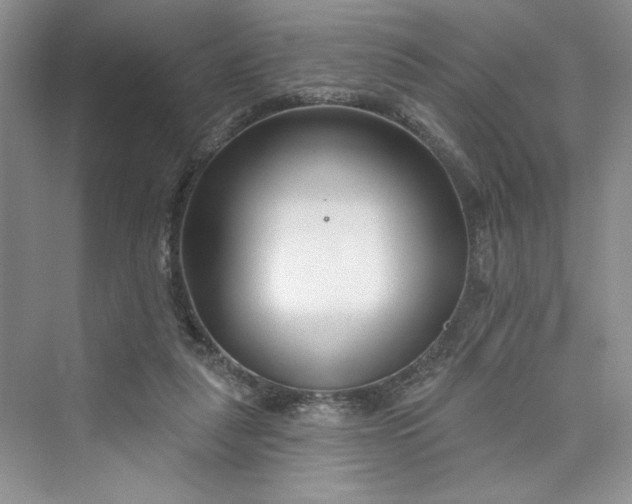 X0000075400259200609251026