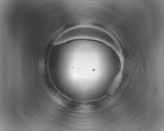 X0000075400260200609251026